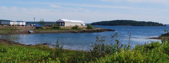 Lighthouse Bait and Lobster- former Consea industrial site