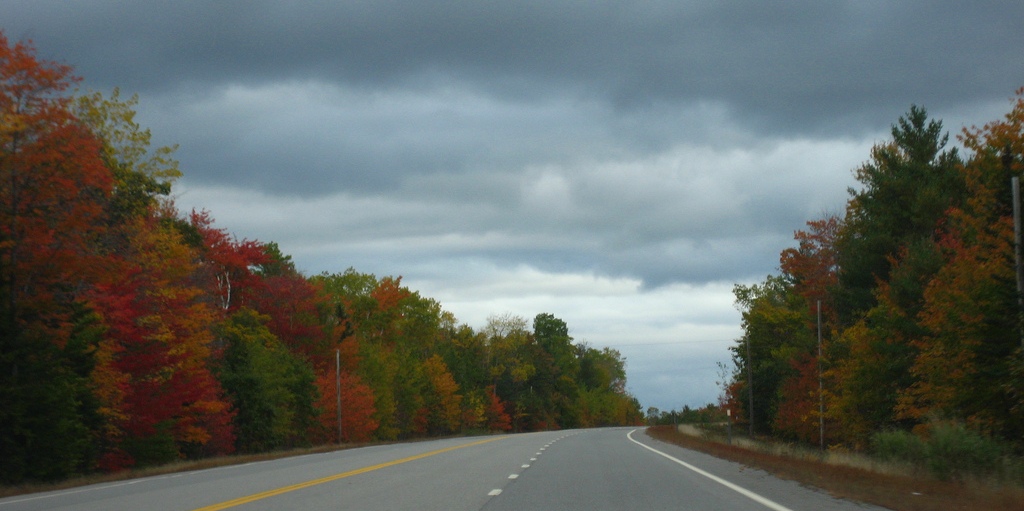 Bold Coast Scenic Byway in fall color